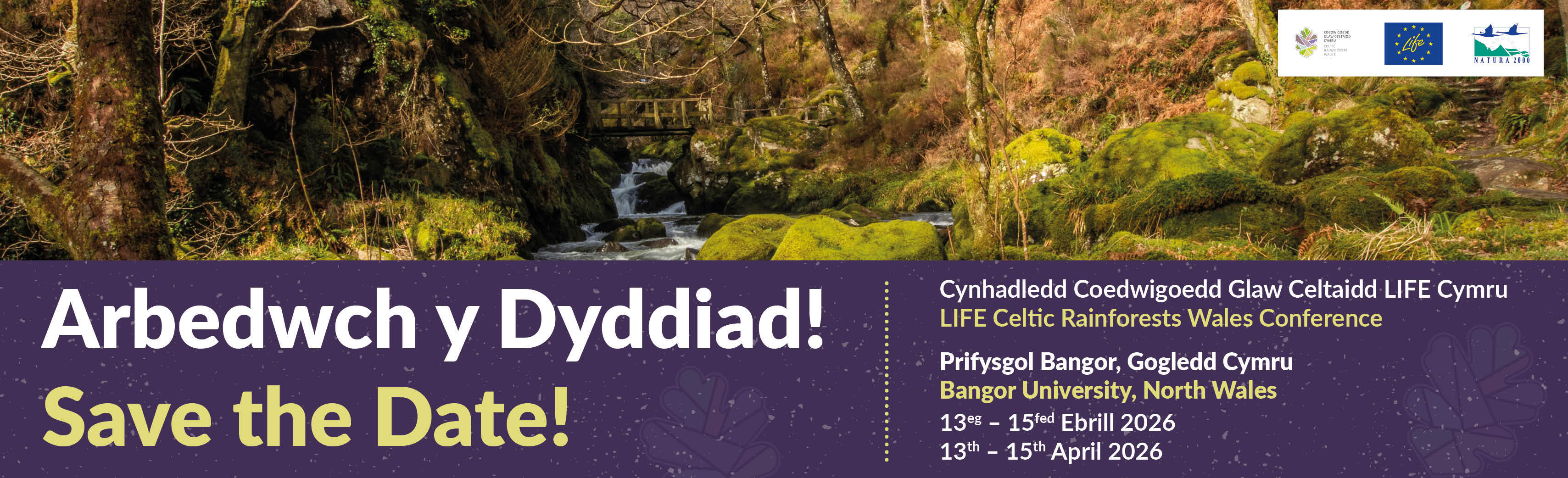 Cynhadledd Coedwigoedd Glaw Celtaidd LIFE