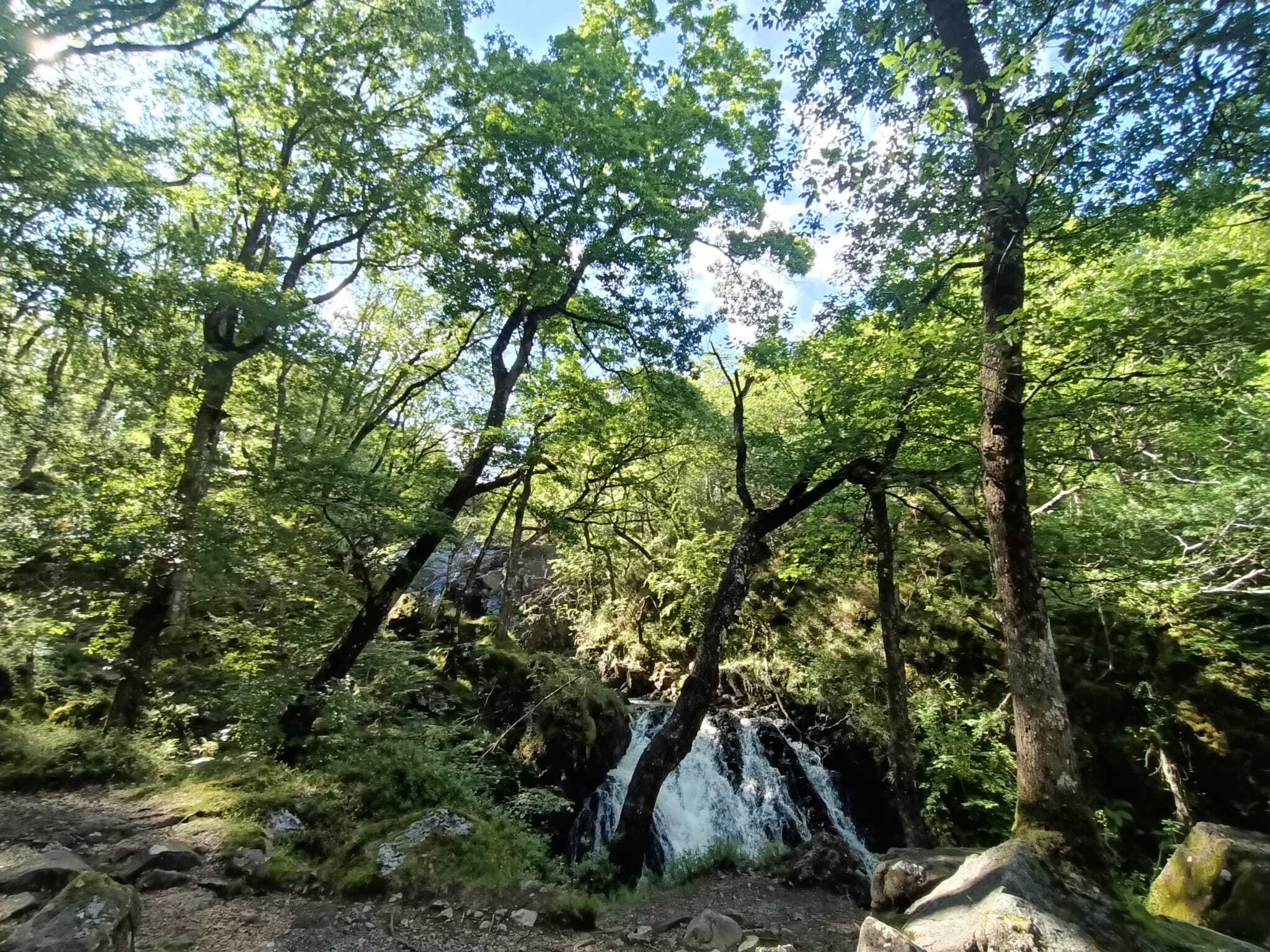 Rhaeadr Ddu Ganllwyd