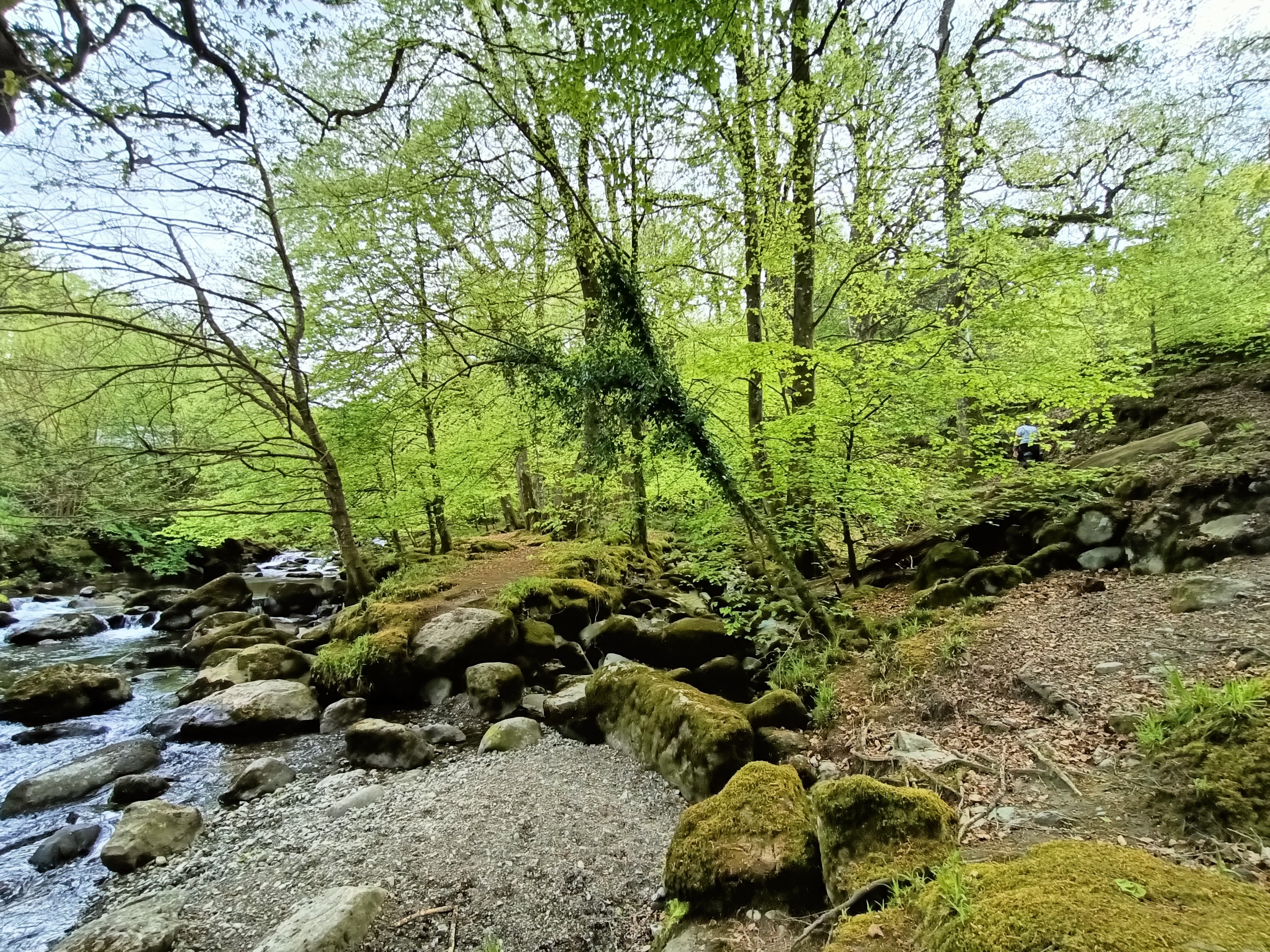 Llwybr Clywedog