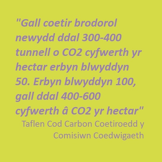 Storfa Garbon gan Goedwigoedd