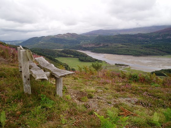 View2