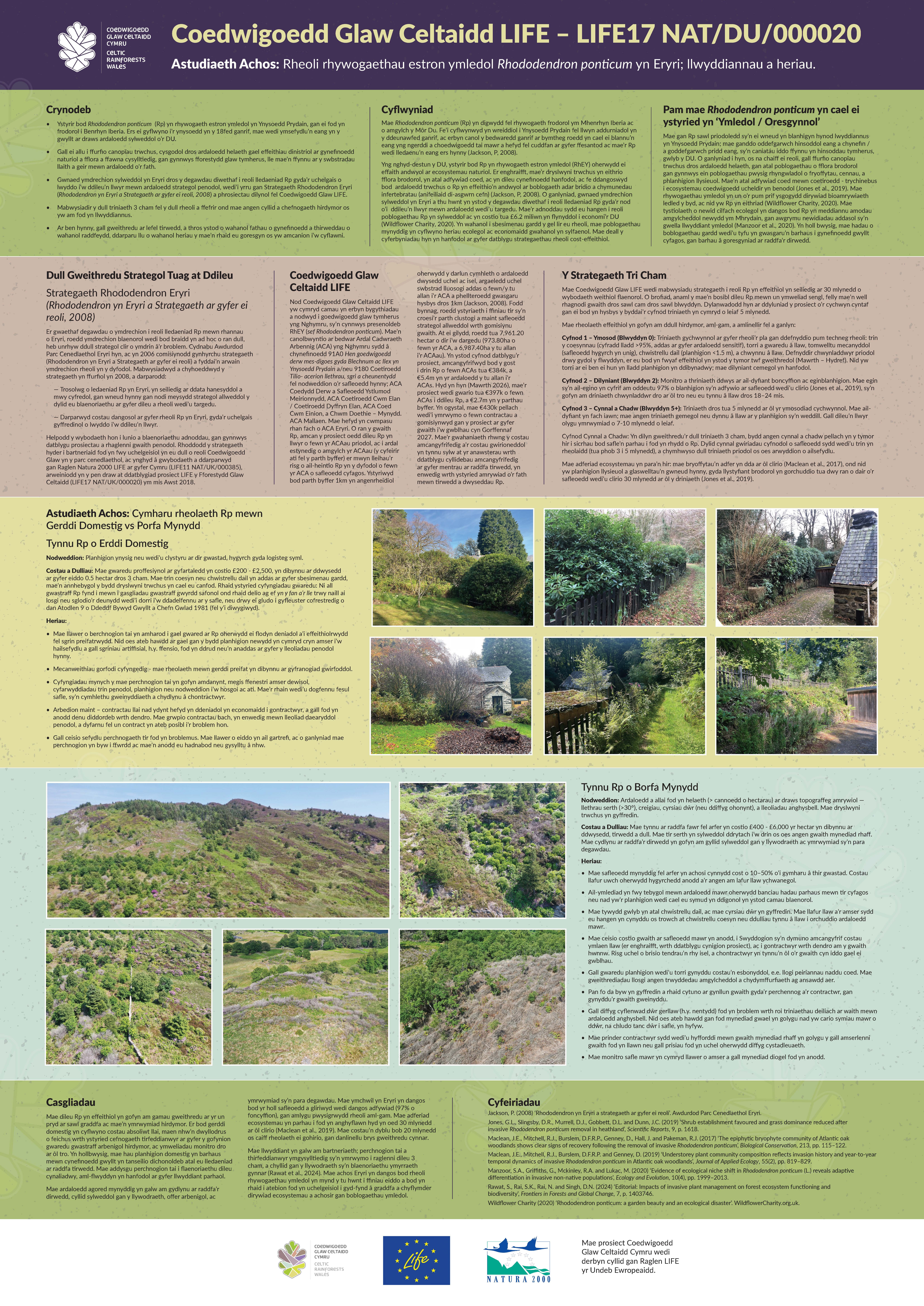 Poster Astudiaeth Achos Rp