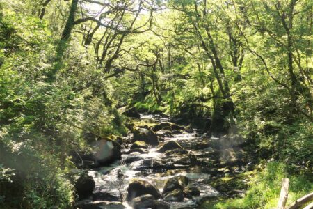 Rocky River